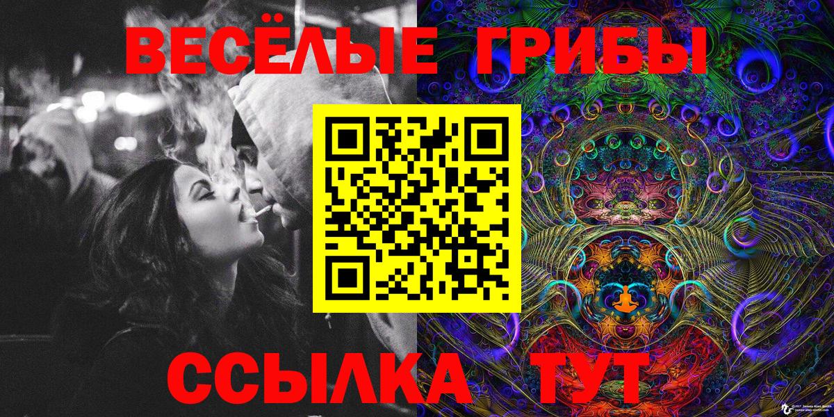 Кохма  Галлюциногенные грибы Magic Shrooms  Вход с VPN 