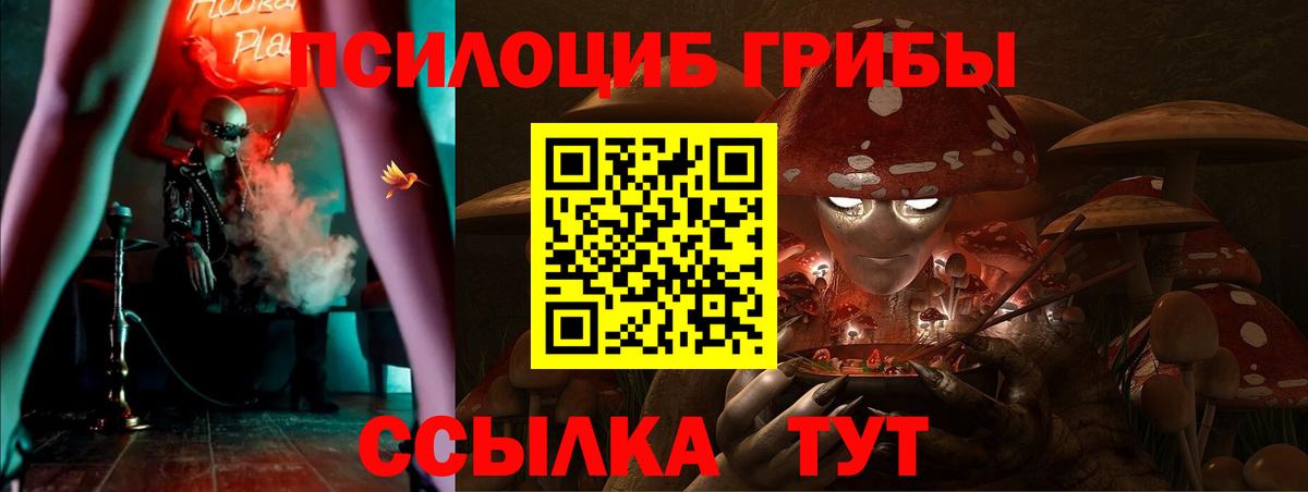 Галлюциногенные грибы мухоморы Кохма